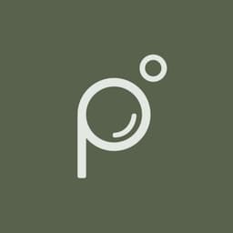 Photonesto Logo